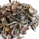 White tea of 2400 years old tea tree