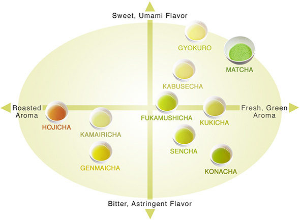 4 Distinct Varieties for the Beginning Green Tea Connoisseur